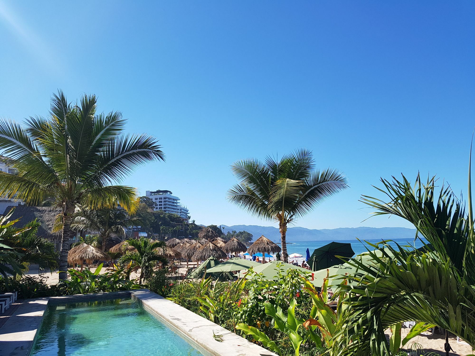 Suites At Sapphire Ocean Club Puerto Vallarta Eksteriør bilde